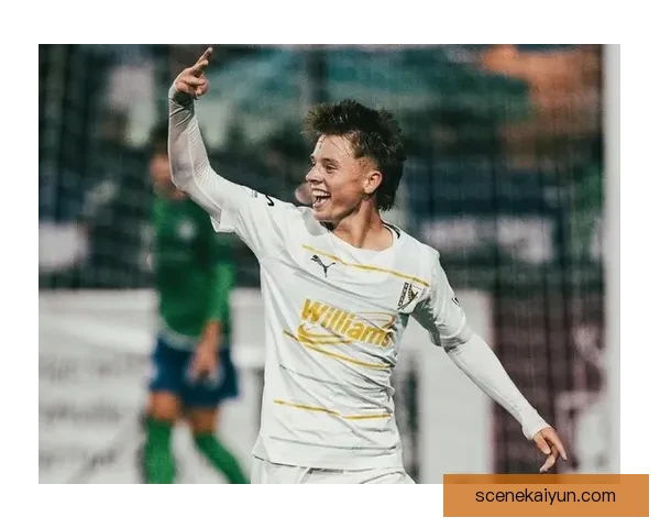 基米希技术能力总结