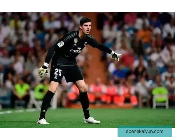 球迷社区排行趋势分析：主流平台正持续吸引越来越多忠实支持者