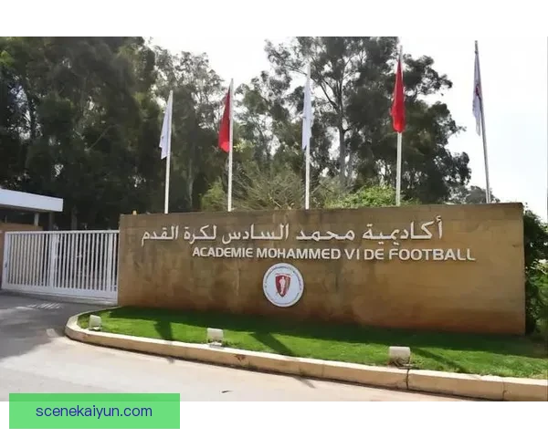 非洲足球发展计划持续推进，青训体系与基础设施建设成效初显